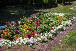 Demonstration Garden - Donohoe Center
